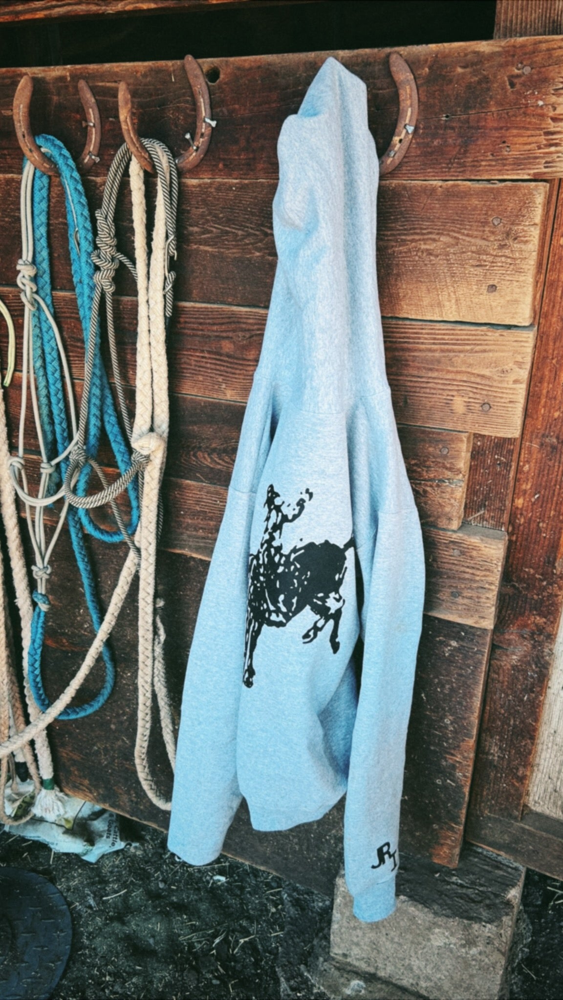 Money’s in the Mane hoodie